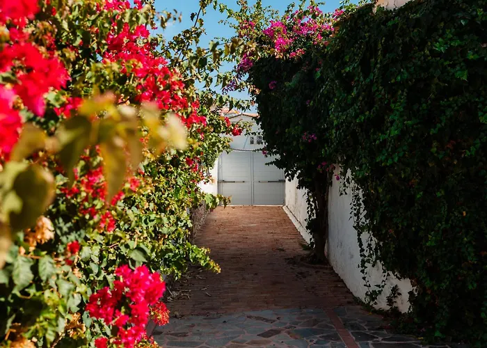 Marbella, Costabella - Beachfront With Heated Pool Ferienhaus
